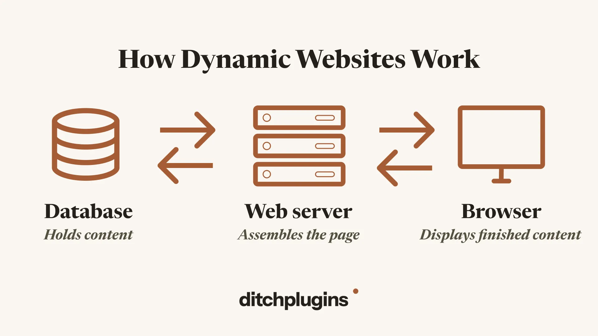 How dynamic websites work: the database holds content, the web server assembles the page, the browser displays the finished content